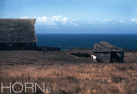 SCOTLAND-104