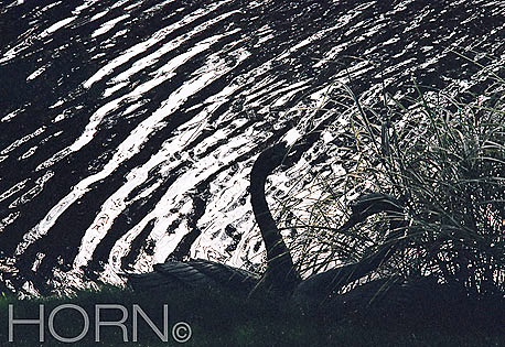 SEASCAPE-115
