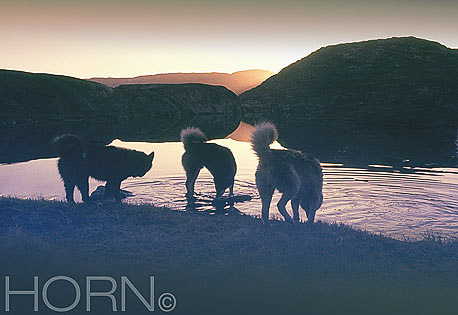 GREENLAND-109