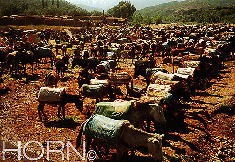 MOROCCO-104