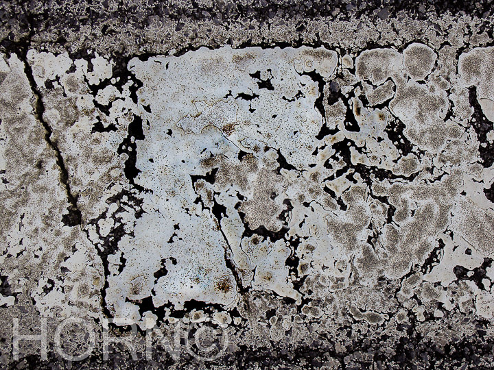 STREET_196_ORIG