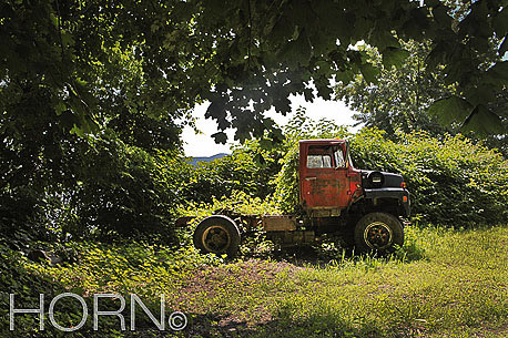 ABANDONED-122