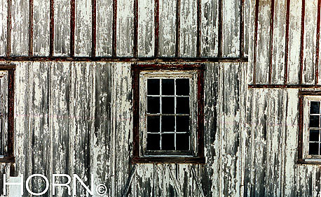 BARNS-113