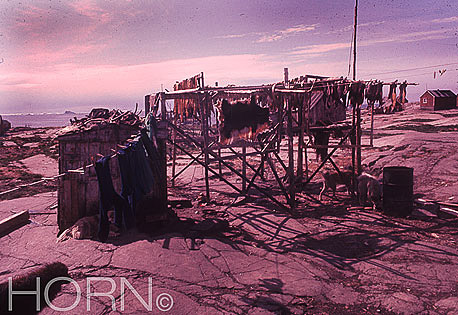 GREENLAND-108