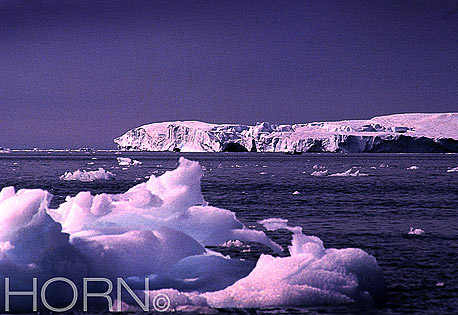 GREENLAND-119