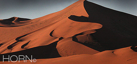 LANDSCAPE-107