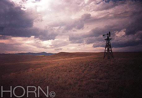 PASTORAL-107