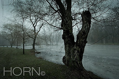 PASTORAL-124