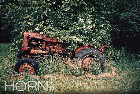 PASTORAL-127