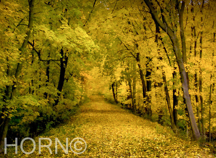 PASTORAL_131