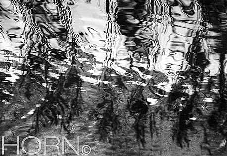 REFLECTION-101