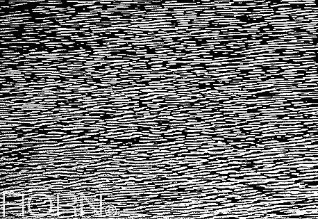 REFLECTION-103A