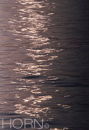 REFLECTION-109