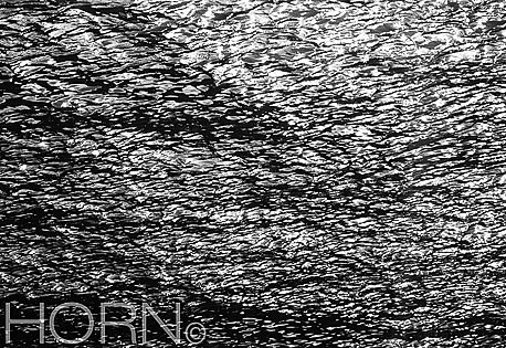 REFLECTION-110