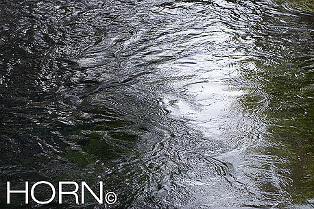 REFLECTION-113