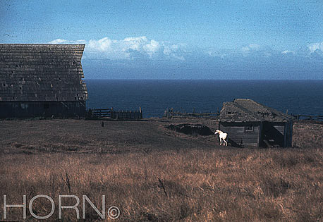 SCOTLAND-104