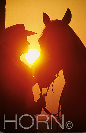 SUNSET-129