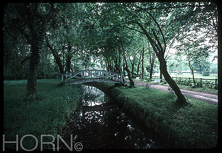 TREES-104