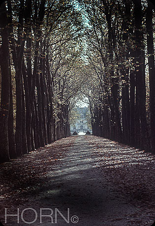 TREES-105