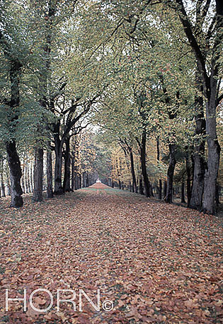 TREES-107