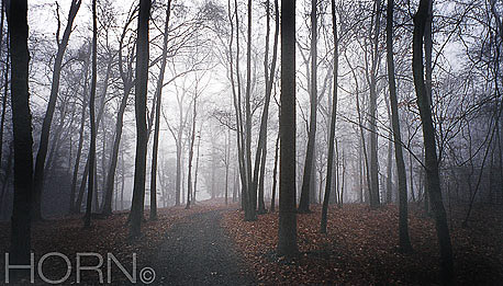 TREES-115