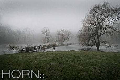 PASTORAL-119