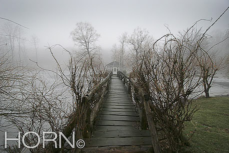 PASTORAL-121