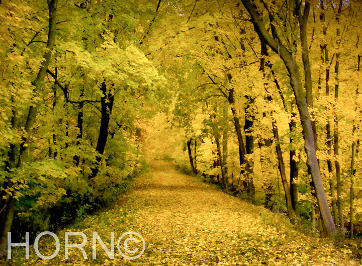 PASTORAL_131