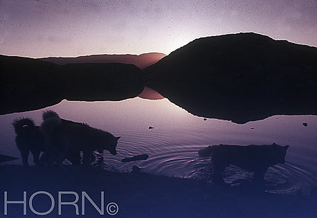 GREENLAND-104