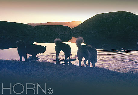 GREENLAND-109