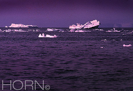 GREENLAND-118