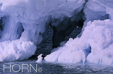 GREENLAND-130