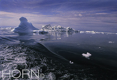GREENLAND-131