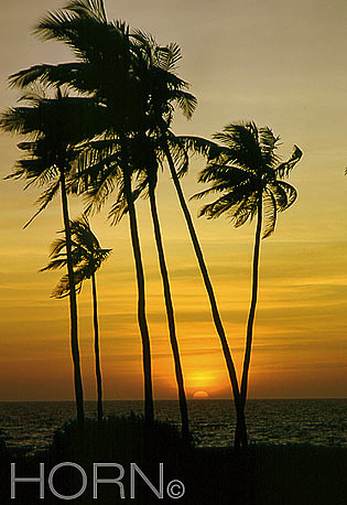 SUNSET-111