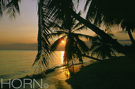 SUNSET-115