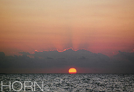 SUNSET-117