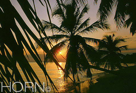 SUNSET-118