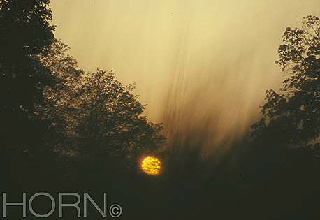 SUNSET-119