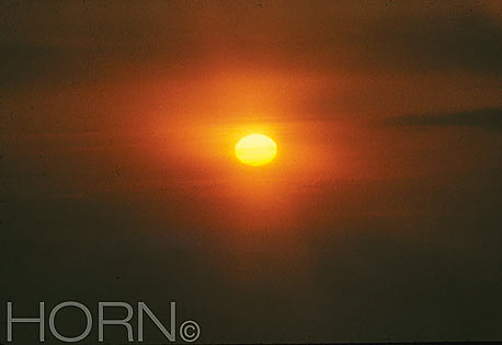 SUNSET-120