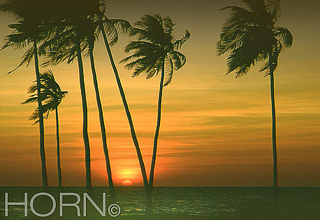 SUNSET-128
