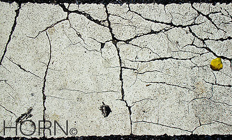 STREET-187