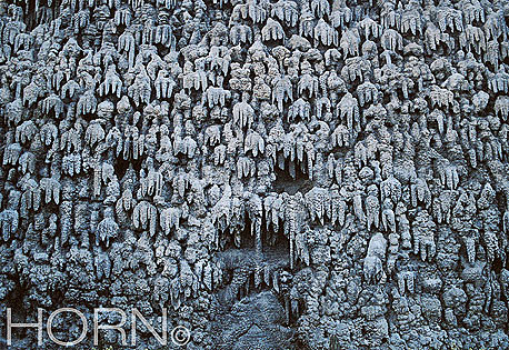 WALL-119