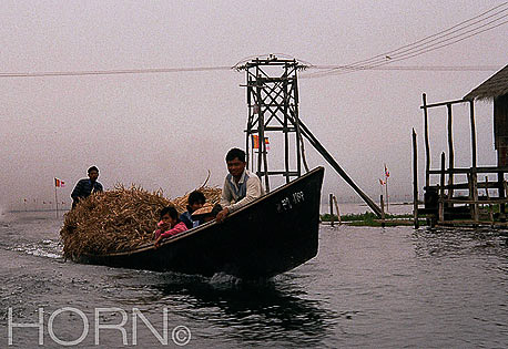 BURMA-113