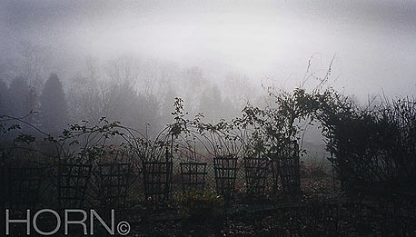 GARDEN-105