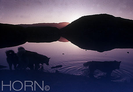 GREENLAND-104