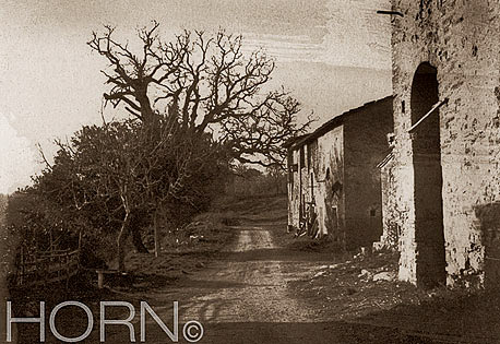 ITALY-193S