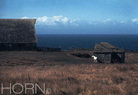 SCOTLAND-104