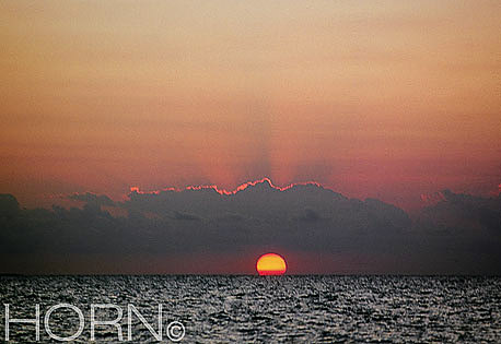 SUNSET-117
