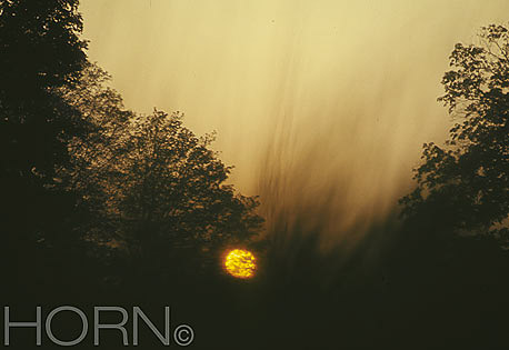 SUNSET-119