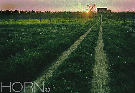 SUNSET-126